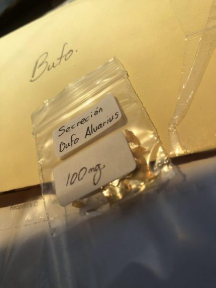 Bufo Alvarius 100mg Venom